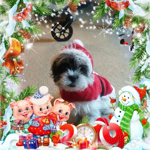 Meet your Posher, Renee - Picture 1 of 1